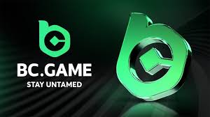 Understanding KYC BC Game Its Importance and Implementation Understanding KYC BC Game Its Importance and Implementation